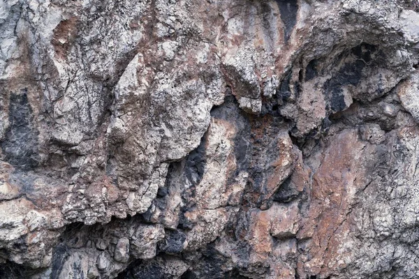 Bumpy stone surface — Stock Photo, Image