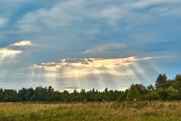 Paisagem rural com prados verdes e raios de sol no céu — Fotografia de Stock