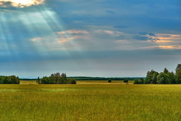 Paisagem agrícola com campo verde e raios de sol no céu — Fotografia de Stock