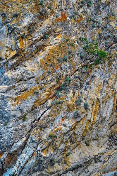 自然の石が閉じ込められた岩の一部のでこぼこした質感が抽象的な自然背景を作り出します — ストック写真