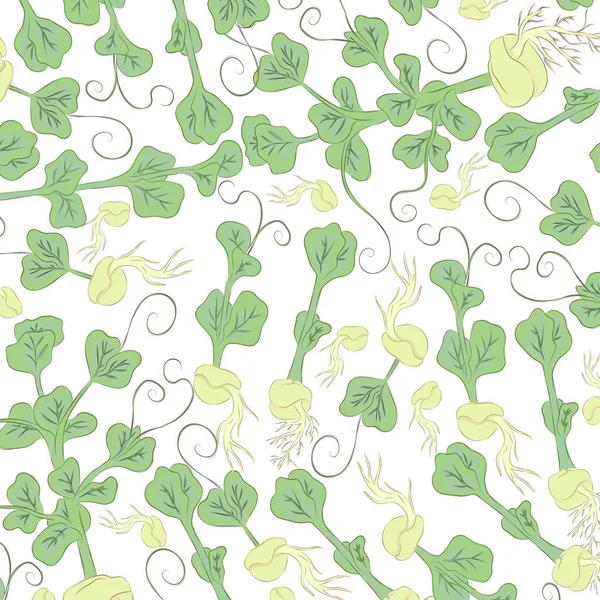 エンドウ豆のマイクログリーン テクスチャ カラー画像 デザイン要素 ベクターイラスト — ストックベクタ