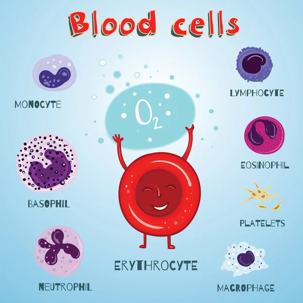 Vector set of illustration with blood cells — Stock Vector
