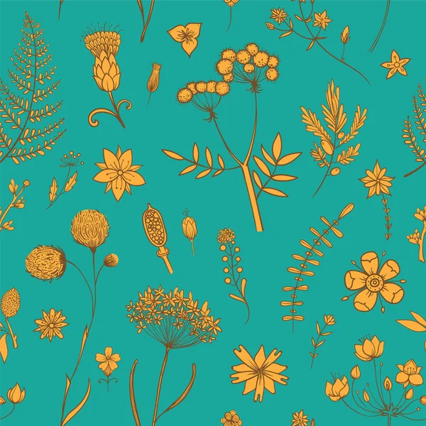 Hierbas y flores silvestres. Patrón botánico — Vector de stock