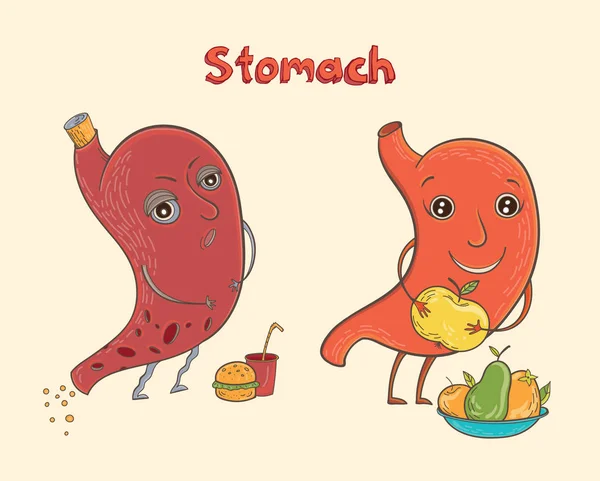 Cartoon human stomach character — Stock Vector