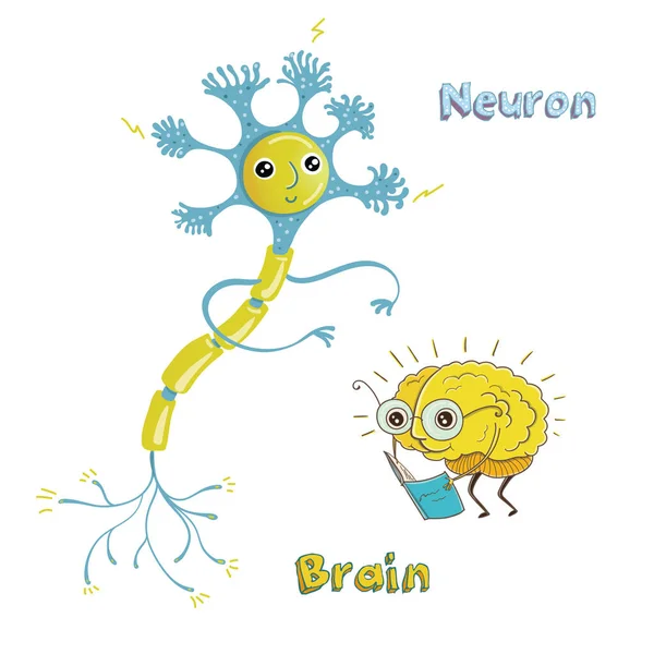 ニューロンと脳のイラスト — ストックベクタ
