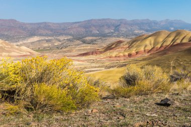 Views of the arid and colorful landscape of Painted Hills clipart