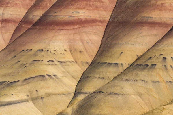 Detalle del paisaje árido, ondulado y colorido de Painted Hills —  Fotos de Stock