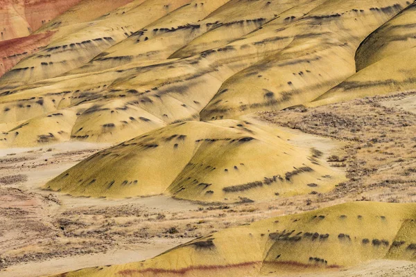 Detalle del paisaje árido, ondulado y colorido de Painted Hills — Foto de Stock
