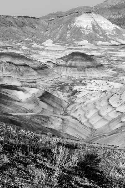 Czarno-białe zdjęcie suchego krajobrazu Painted Hills — Zdjęcie stockowe