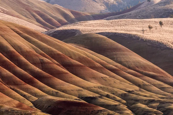 Detail van het dorre, golvende en kleurrijke landschap van Painted Hills — Stockfoto