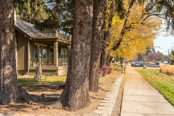 Vallende bladeren vallen op de vloer naast de Zusters Tandheelkundige zaken op East Cascade Street in Zusters, Oregon, Usa. — Stockfoto