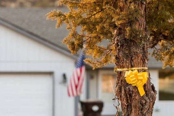 A yellow ribbon tied to a tree in support of deployed troops seen next to a house in Terrebonne — Stock Photo, Image