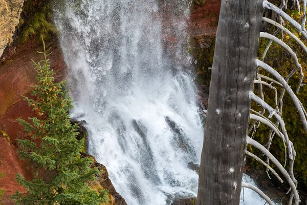 Kofferten av ett torrt träd vid den 97-fots Tumalo vattenfall i Tumalo Creek nära Bend — Stockfoto
