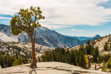 Olmsted Point 'ten Yosemite Ulusal Parkı' nın arka planında Half Dome 'un olduğu doğal çevrenin görüntüleri