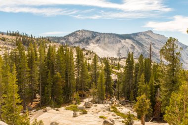 Olmsted Point 'ten Yosemite Ulusal Parkı, Kaliforniya, ABD' nin doğal çevresinin görüntüleri