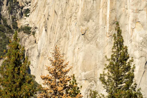 L'un des principaux murs d'escalade d'El Capitan dans le parc national de Yosemite, Californie, USA — Photo