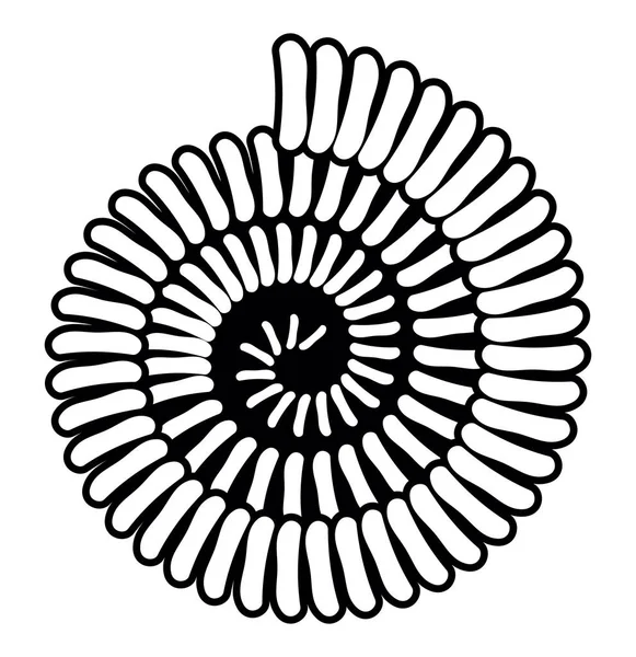 Modèle d'un coquillage — Image vectorielle