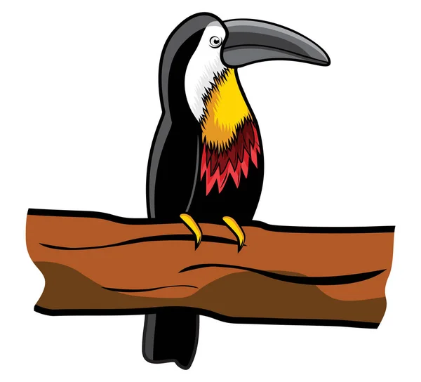 Toucan perching on a branch — Stock Vector