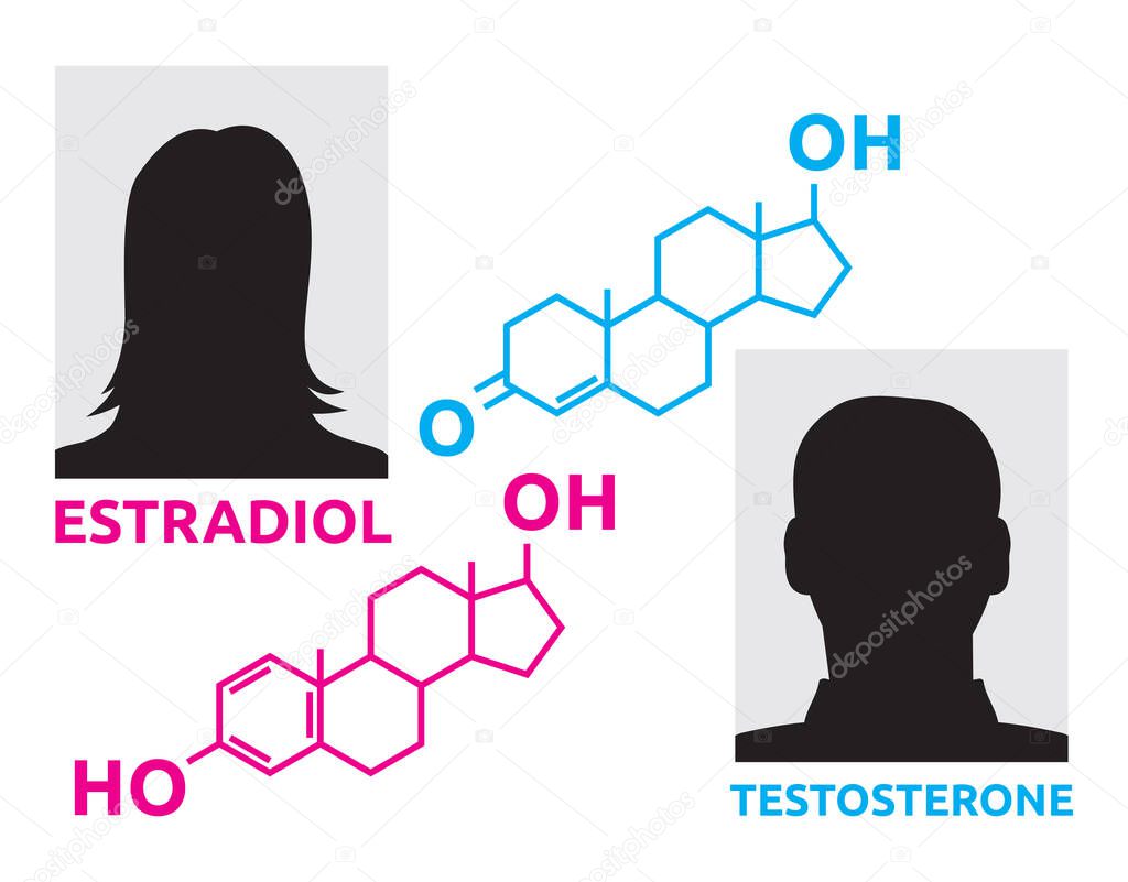Vector illustration of the hormones concept