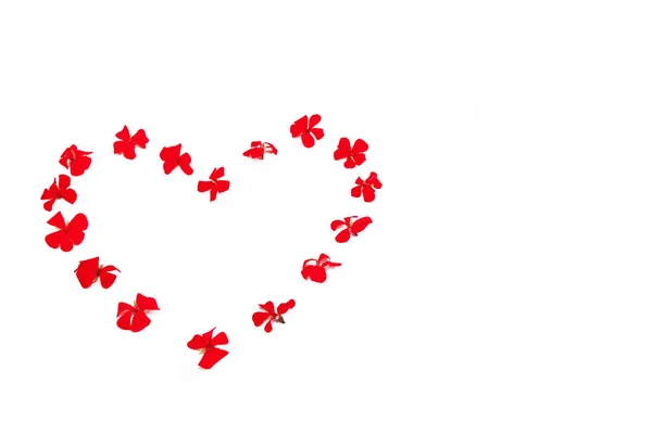 Herzmuster aus roten natürlichen Blumen Geranien auf weißem Hintergrund — Stockfoto