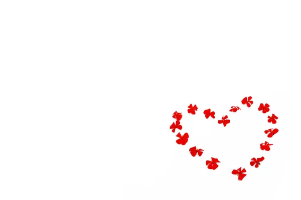 Padrão de coração de vermelho flores naturais gerânio em um fundo branco — Fotografia de Stock