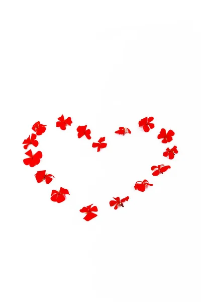 Padrão de coração de vermelho flores naturais gerânio em um fundo branco — Fotografia de Stock