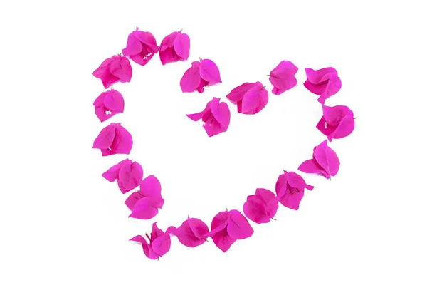 Cuore di disegno festivo a base di fiori di bouganville rosa freschi naturali — Foto Stock