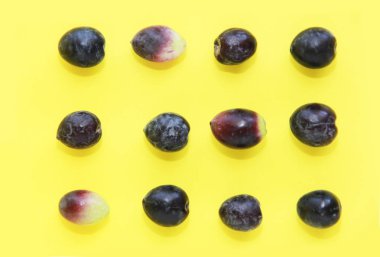 Sarı zemin üzerinde doğal siyah zeytinler.