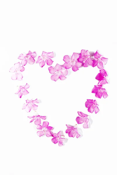 Pequenas flores oleandro rosa natural em um padrão de coração — Fotografia de Stock