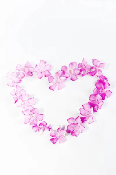 Kalp şeklinde küçük pembe zakkum çiçekleri. — Stok fotoğraf