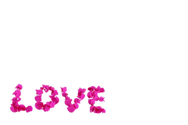 La palabra amor de rosa flores de buganvillas naturales para el día de San Valentín — Foto de Stock
