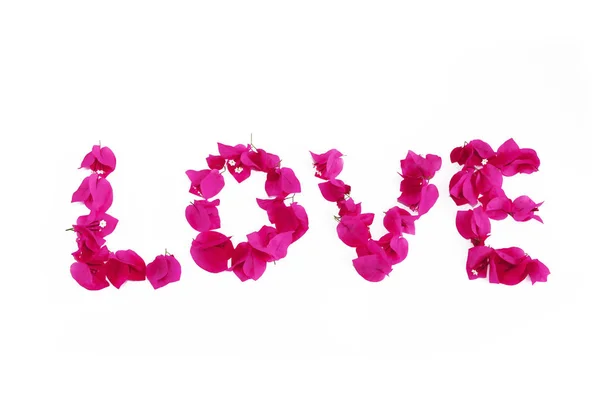 Das Wort Liebe der rosa natürlichen Bougainvillea-Blumen zum Valentinstag — Stockfoto