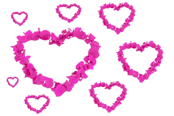 Hjärta mönster av rosa naturliga bougainvillea blommor för alla hjärtans dag — Stockfoto