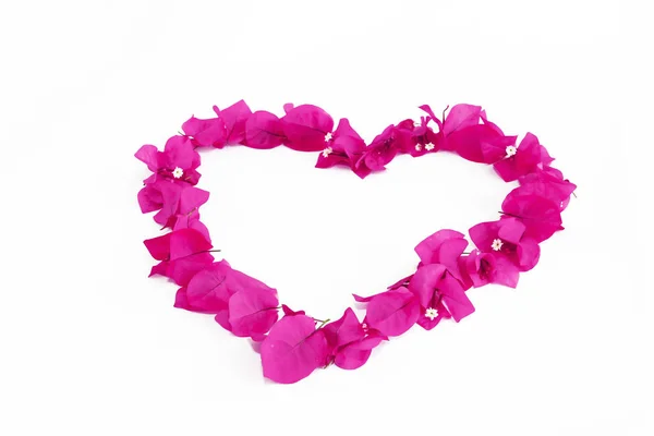 Herzmuster aus rosa natürlichen Bougainvillea-Blüten zum Valentinstag — Stockfoto