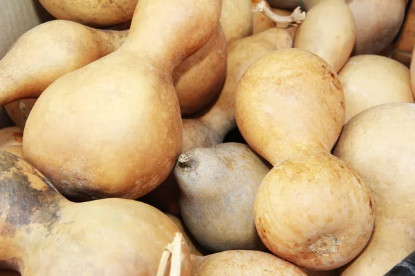 Früchte von natürlichem Orangenkürbis zum Kochen — Stockfoto