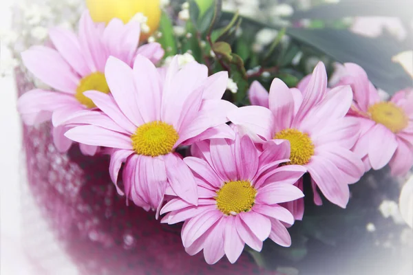 Strauss Aus Rosa Chrysanthemenblüten Und Gelben Tulpen — Stockfoto