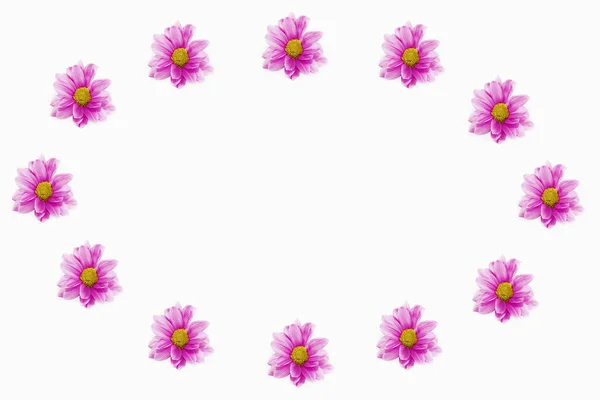 Dekorative Collage Rahmen Aus Rosa Chrysanthemen Und Blumen — Stockfoto
