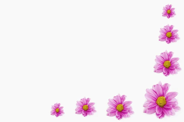 Cadre Collage Décoratif Chrysanthème Rose Fleurs — Photo