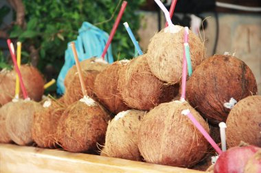 Doğal kahverengi hindistan cevizleri ve kokteyl tüpleri.