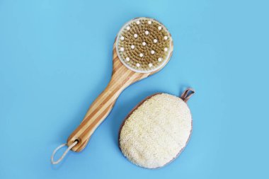 Banyo aksesuarları, masaj fırçası vücut için ve duş için bez.