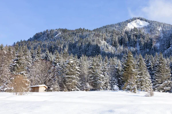 Alpino Nieve —  Fotos de Stock
