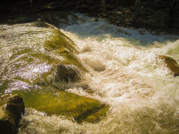 Pequenas cachoeiras maravilhosas e corredeiras de pedra no rio. Maravilha. — Fotografia de Stock