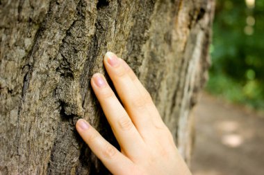 Kadının parmakları nazikçe yaşlı bir ağacın kabuğuna dokunur.