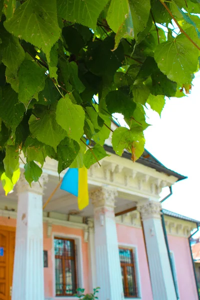 Berezhany, Ukraine - August 24, 2013: Old houses on the streets — Stock Photo, Image