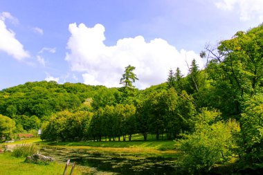 Terk edilmiş terk edilmiş eski bir parkta terk edilmiş bir gölet..