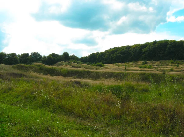 Wild meadow at the edge of the forest after a big rain. Small mo — Stock Photo, Image