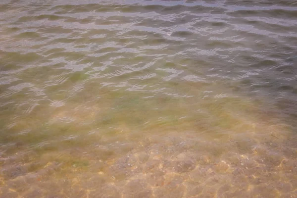 晴れた日にきれいな海の水 水の向こうには砂の底が見える — ストック写真