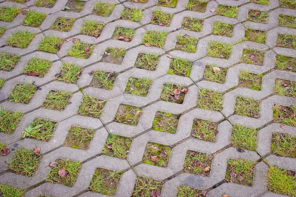 Parkplätze Freien Umweltfreundliches Parken Von Betonzellen Mit Gras Und Laub — Stockfoto