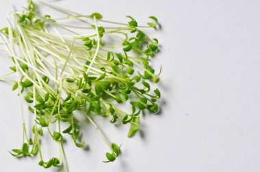 Arkaplan resmi, sağlıklı yemek için mikro yeşiller