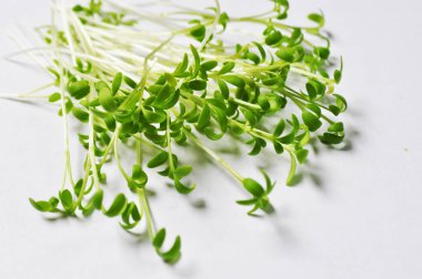 Arkaplan resmi, sağlıklı yemek için mikro yeşiller